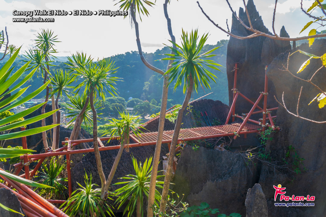 Canopy Walk El Nido